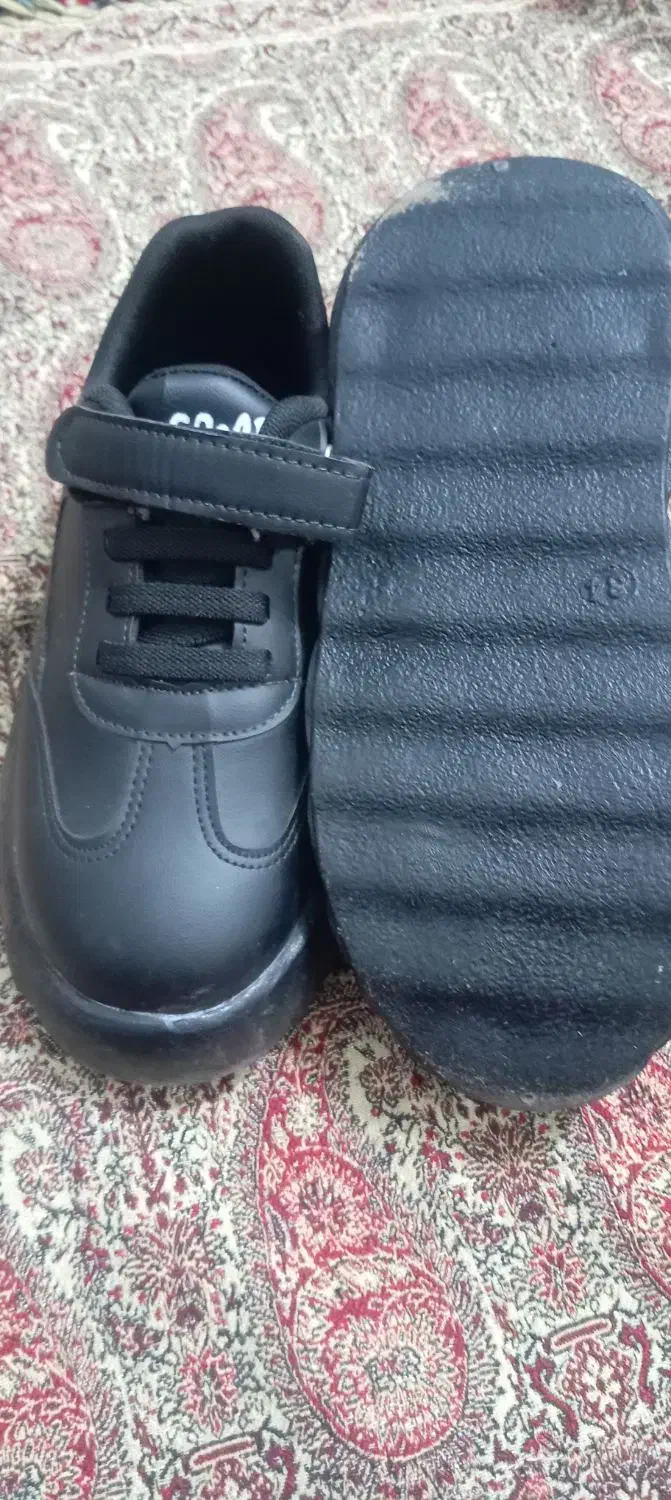 کفش اسپرت|کیف، کفش، کمربند|بیرجند, |دیوار