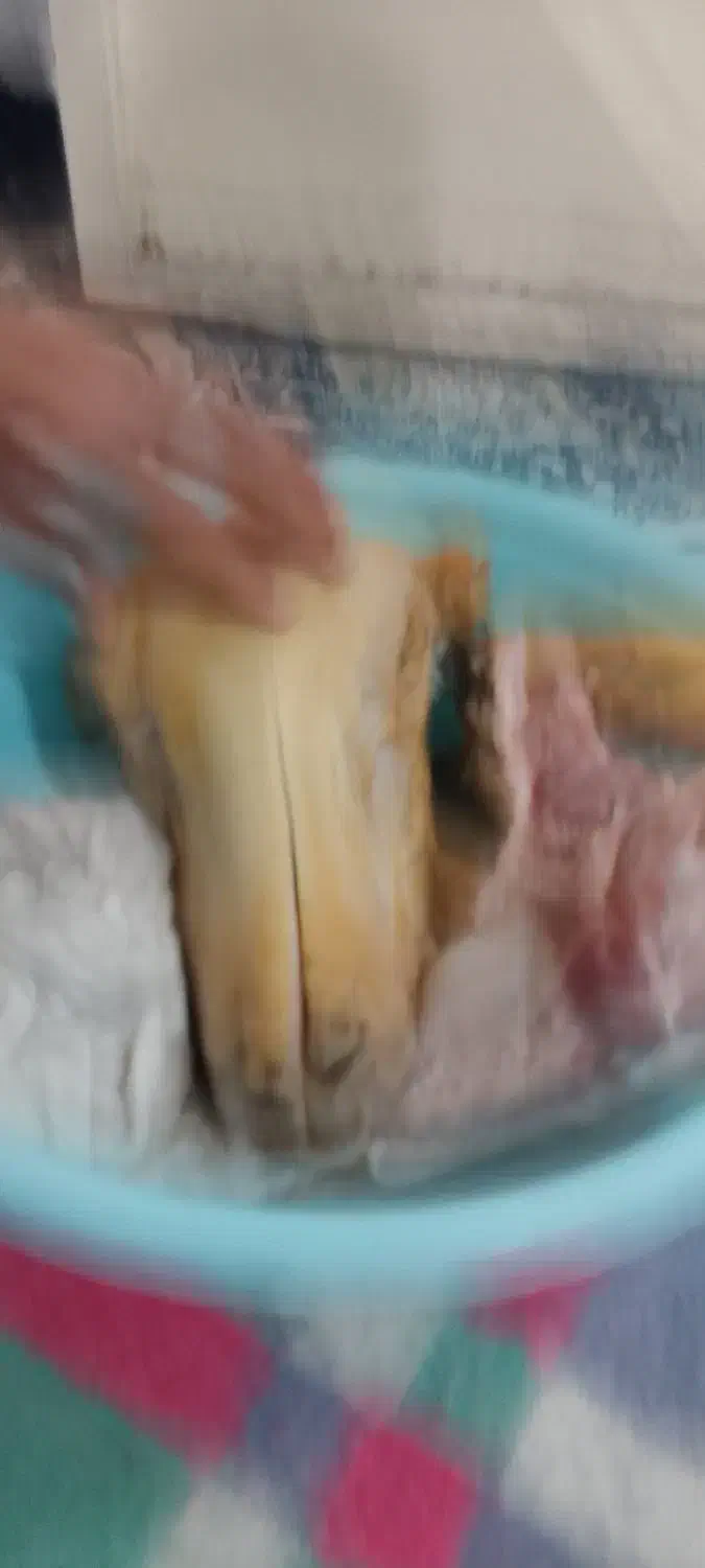 پاک کردن کله پاچه|خدمات پذیرایی، مراسم|دوگنبدان, |دیوار