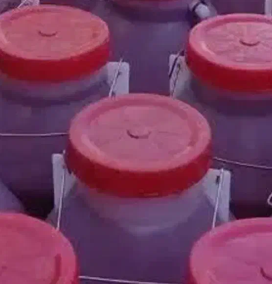 رب گوجه ارگانیک|خوردنی و آشامیدنی|امامزاده عبدالله, |دیوار