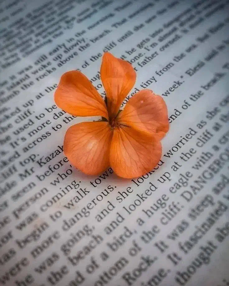 فوری نیازمند ضامن با رتبه aیاbهستم|فعالیت داوطلبانه|صدرا-فارس, فاز ۱|دیوار