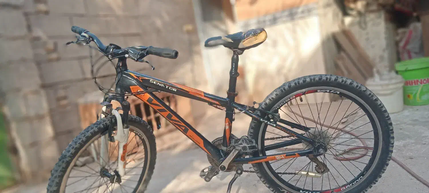 دوچرخه ۲۴ دندای ویوا|دوچرخه، اسکیت، اسکوتر|خرمشهر, |دیوار