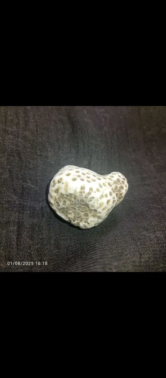 سنگ|کلکسیون اشیاء عتیقه|اهواز, امانیه|دیوار