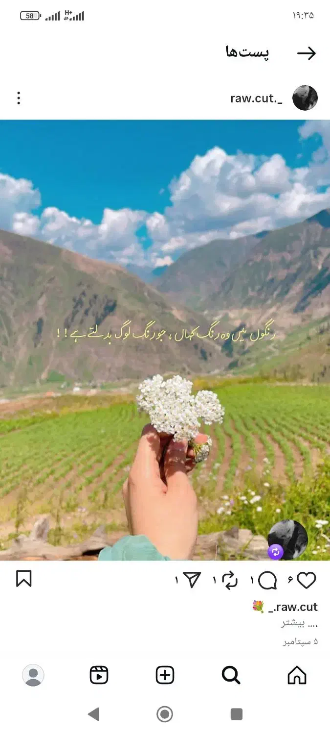 راهنمایی ازدواج|فعالیت داوطلبانه تحقیقاتی|شوش, |دیوار