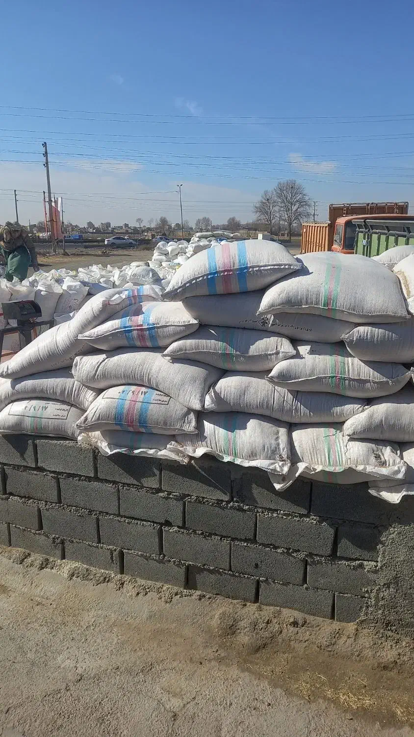 راننده نیسان|استخدام حمل و نقل|پیشوا, |دیوار