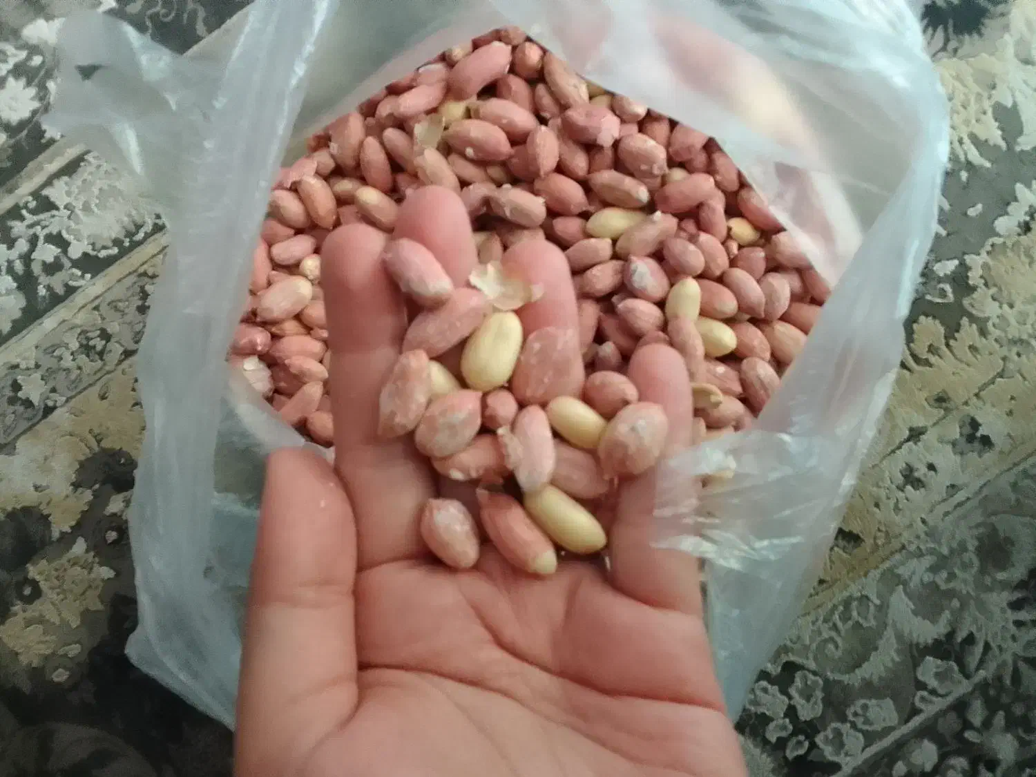 فروش بادام زمینی ممتاز|خوردنی و آشامیدنی|تهران, یافت آباد شمالی|دیوار