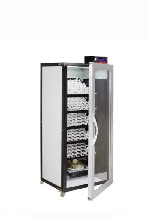 دستگاه جوجه کشی ۲۱۰تایی ققنوس|لوازم جانبی حیوانات|سنندج, |دیوار