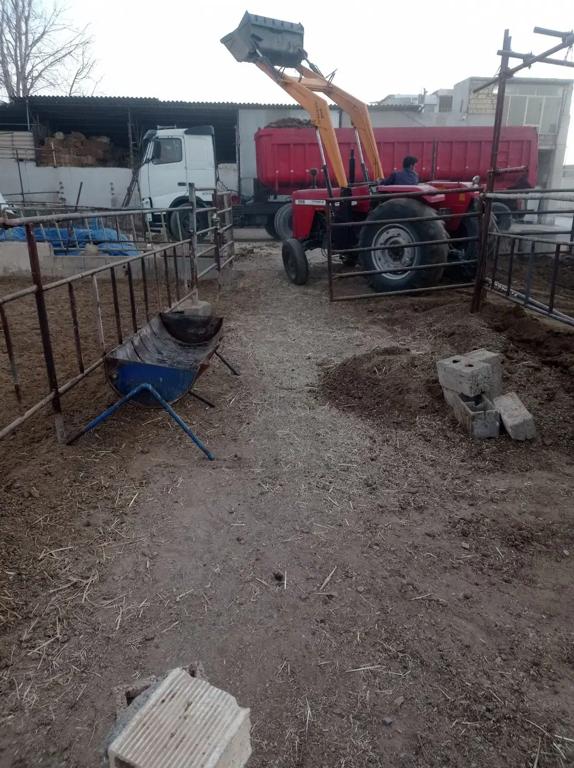 کار گر افغانی برای دام داری|استخدام سرایداری و نظافت|نجف‌آباد, گلدشت|دیوار