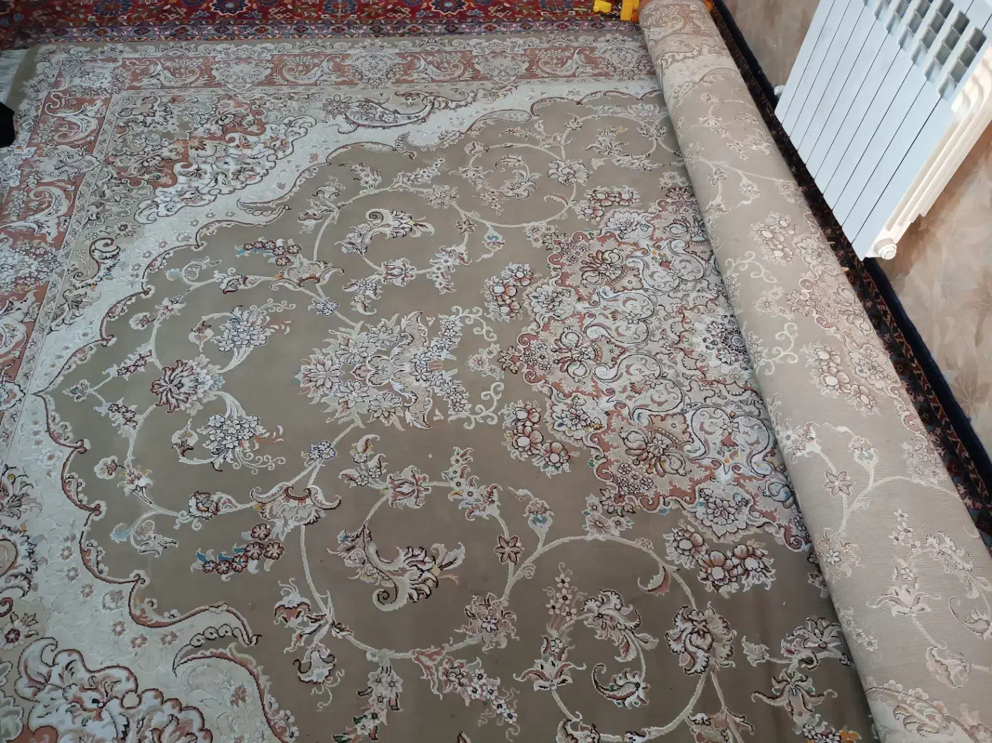 قالی ۱۲ متری|فرش|مشکین‌دشت, |دیوار