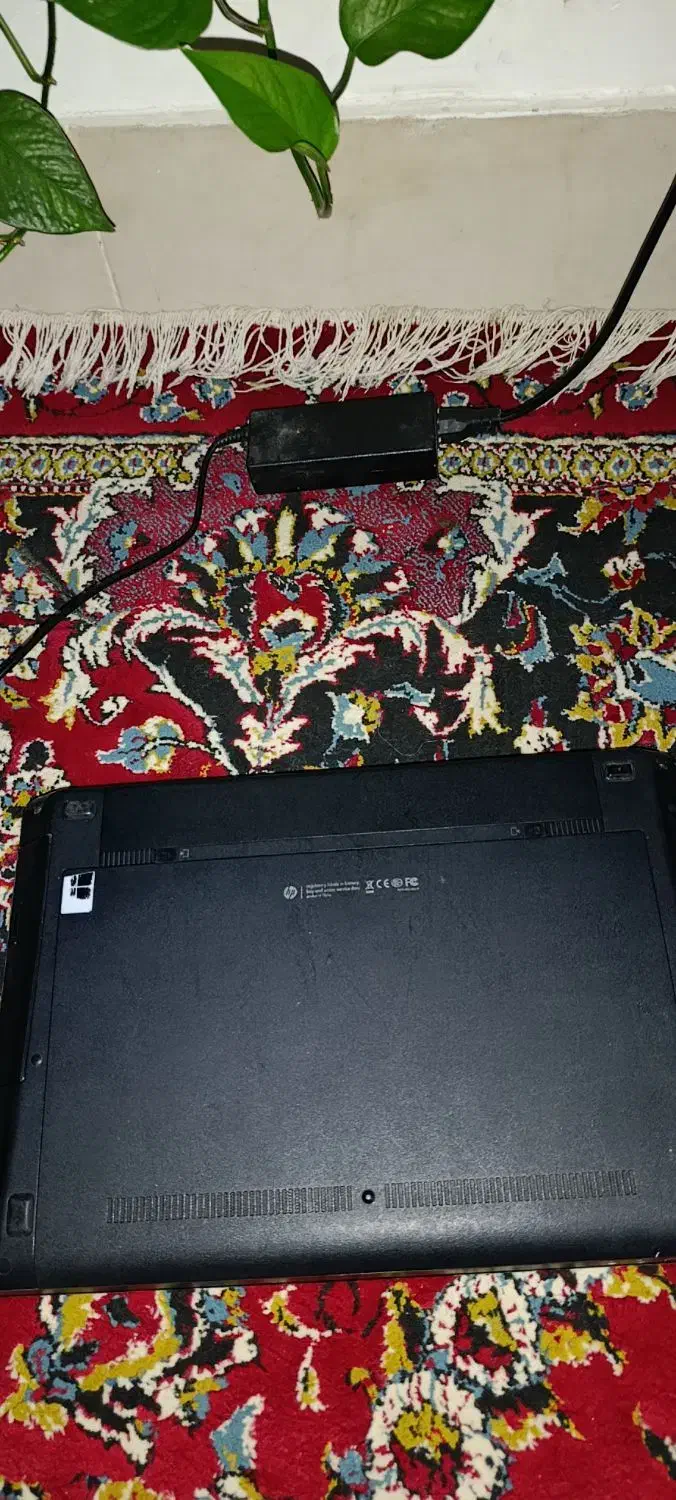 لبتاپhp|رایانه همراه|فلاورجان, |دیوار