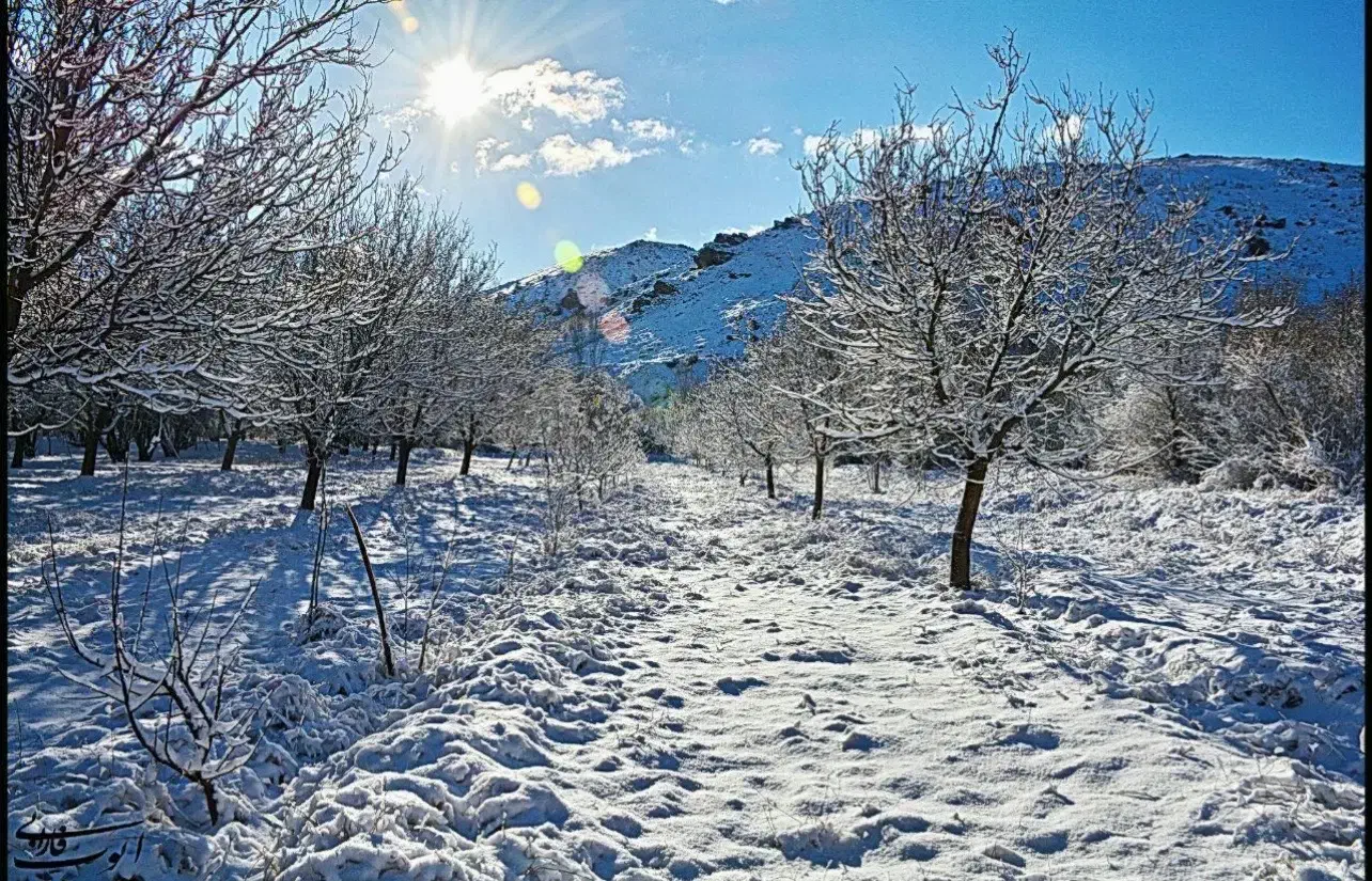 باغ|فروش خانه و ویلا|طرقبه, |دیوار