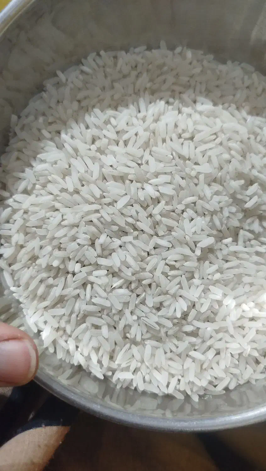 برنج|خوردنی و آشامیدنی|قنوات, |دیوار