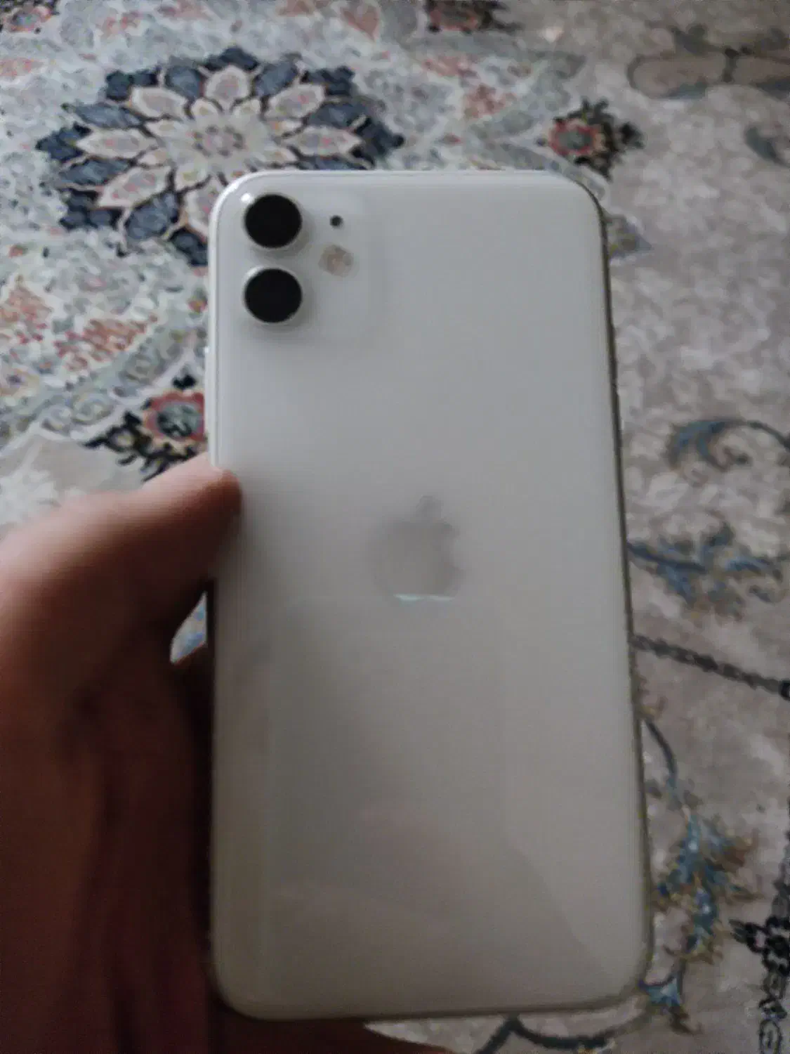 iPhone 11|موبایل|قم, زنبیل آباد|دیوار