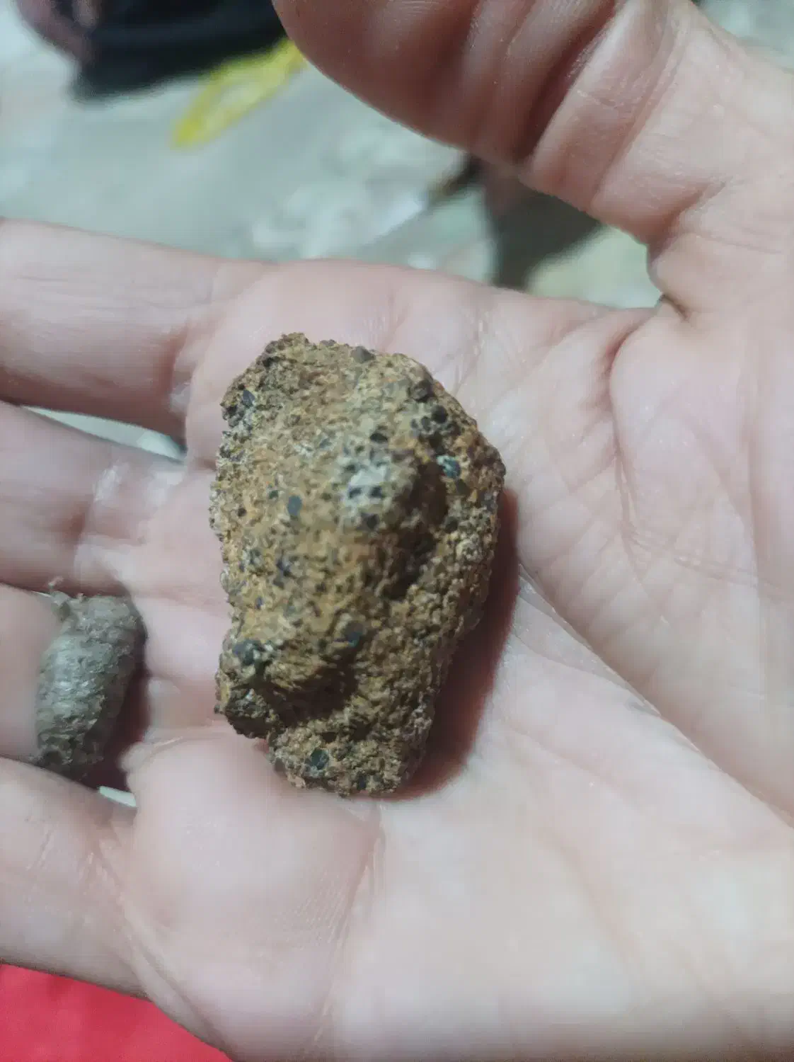 شهاب شنگ|جواهرات|کوهدشت, |دیوار