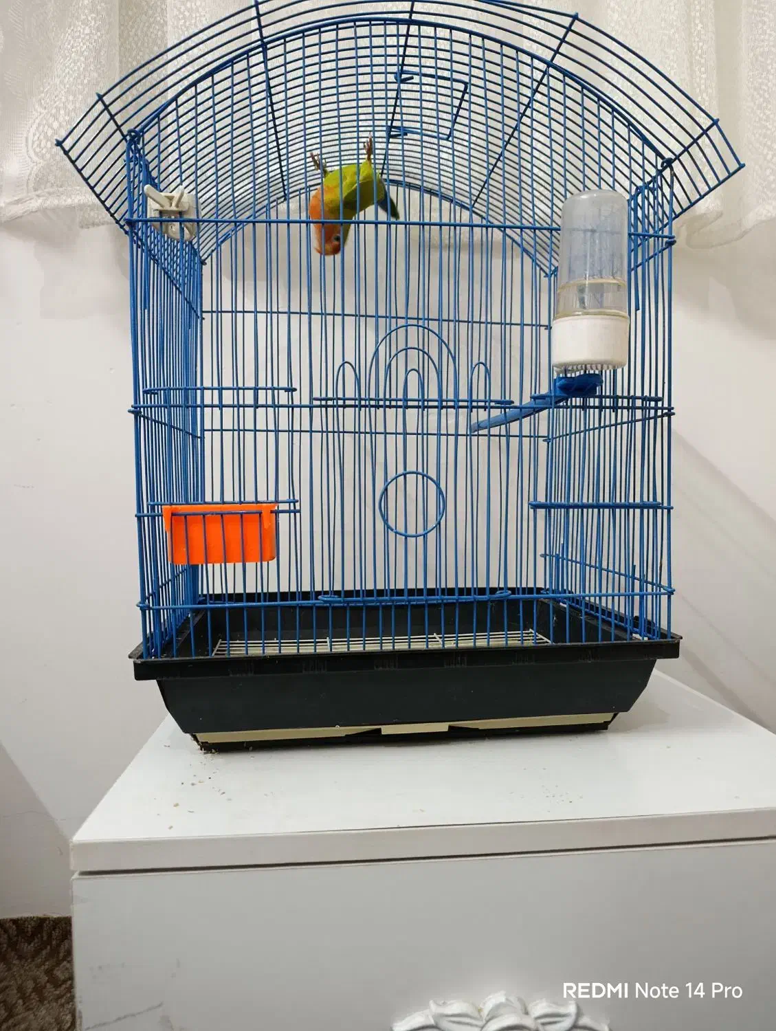 قفس|لوازم جانبی حیوانات|مشهد, محمدآباد|دیوار