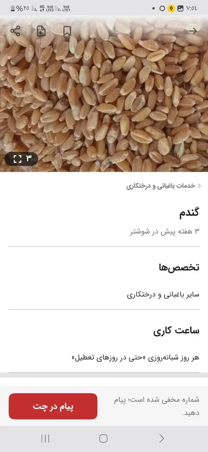 گندم مهرگان|خوردنی و آشامیدنی|اهواز, زیباشهر|دیوار