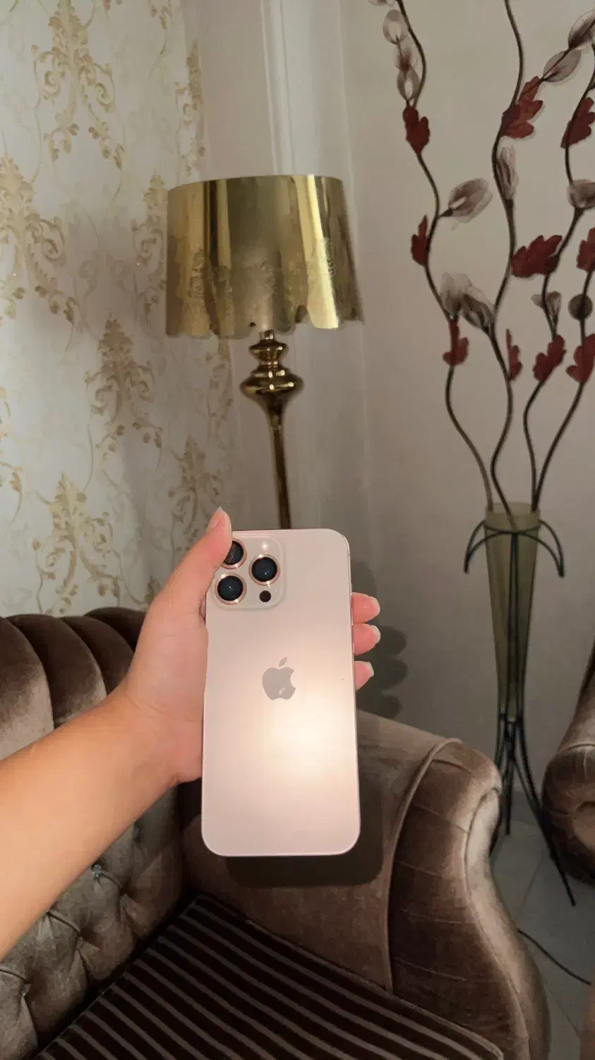 ۱۶پرومکس کاملا نو فقط انباکس شده با ضمانت|موبایل|رشت, بلوار گیلان|دیوار