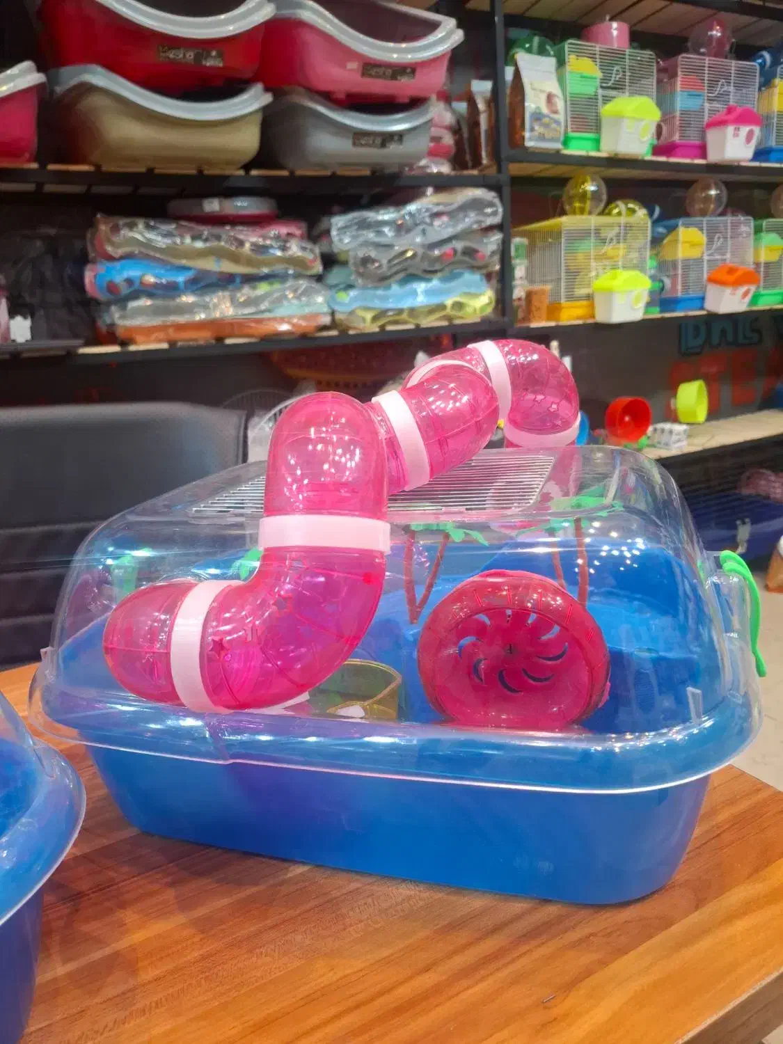 باکس جزیره ای همستر|لوازم جانبی حیوانات|قم, حکمت شمالی|دیوار