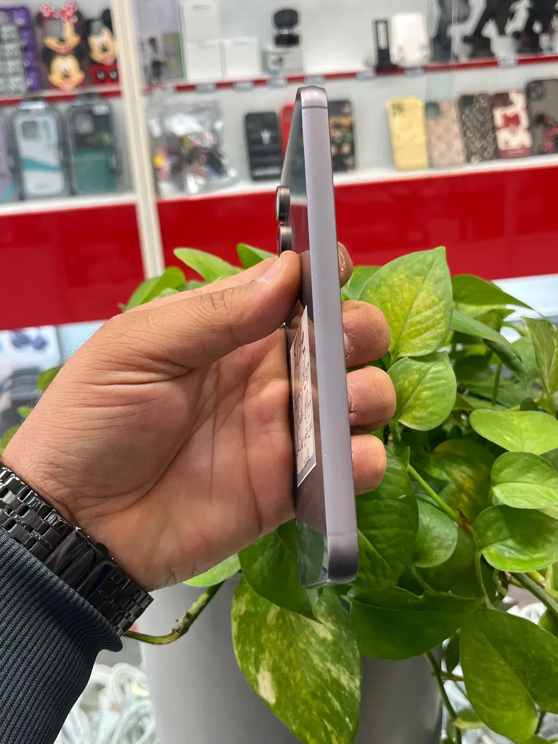 S23fe|موبایل|شیراز, گود عربان|دیوار