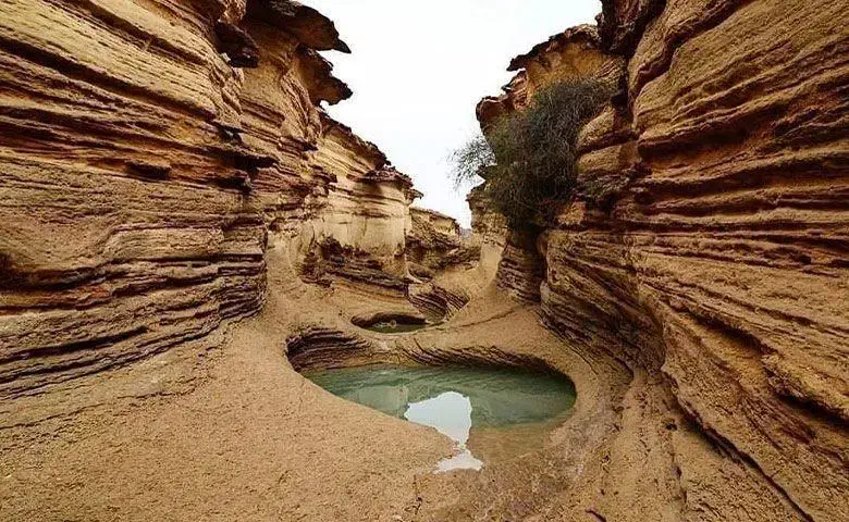 تور قشم هوایی بدون پیش پرداخت|تور و چارتر|مشهد, صیاد شیرازی|دیوار