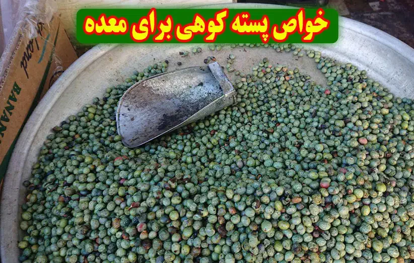 پسته بنه کوهی|خوردنی و آشامیدنی|مشهد مرغاب, |دیوار