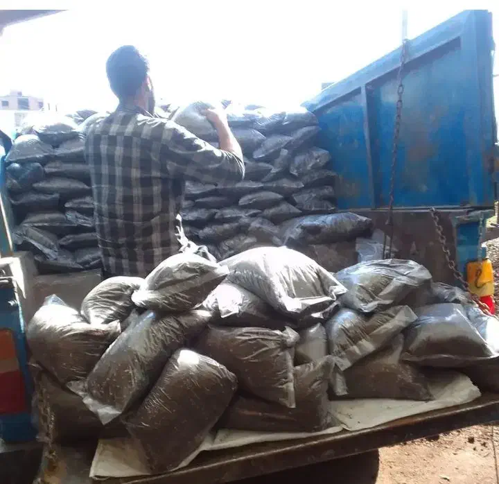 پخش خاک گلهای اپارتمانی|گل و گیاه طبیعی|لاهیجان, امیرشهید|دیوار