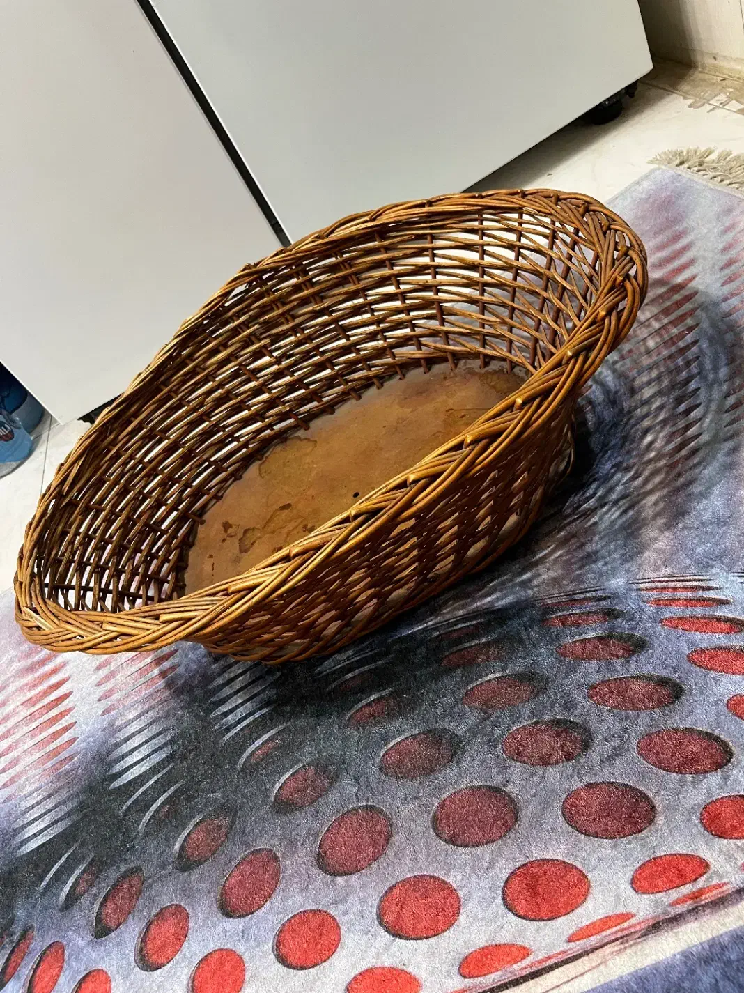 سبد گل|گل و گیاه طبیعی|تهران, سبلان (لشگر)|دیوار