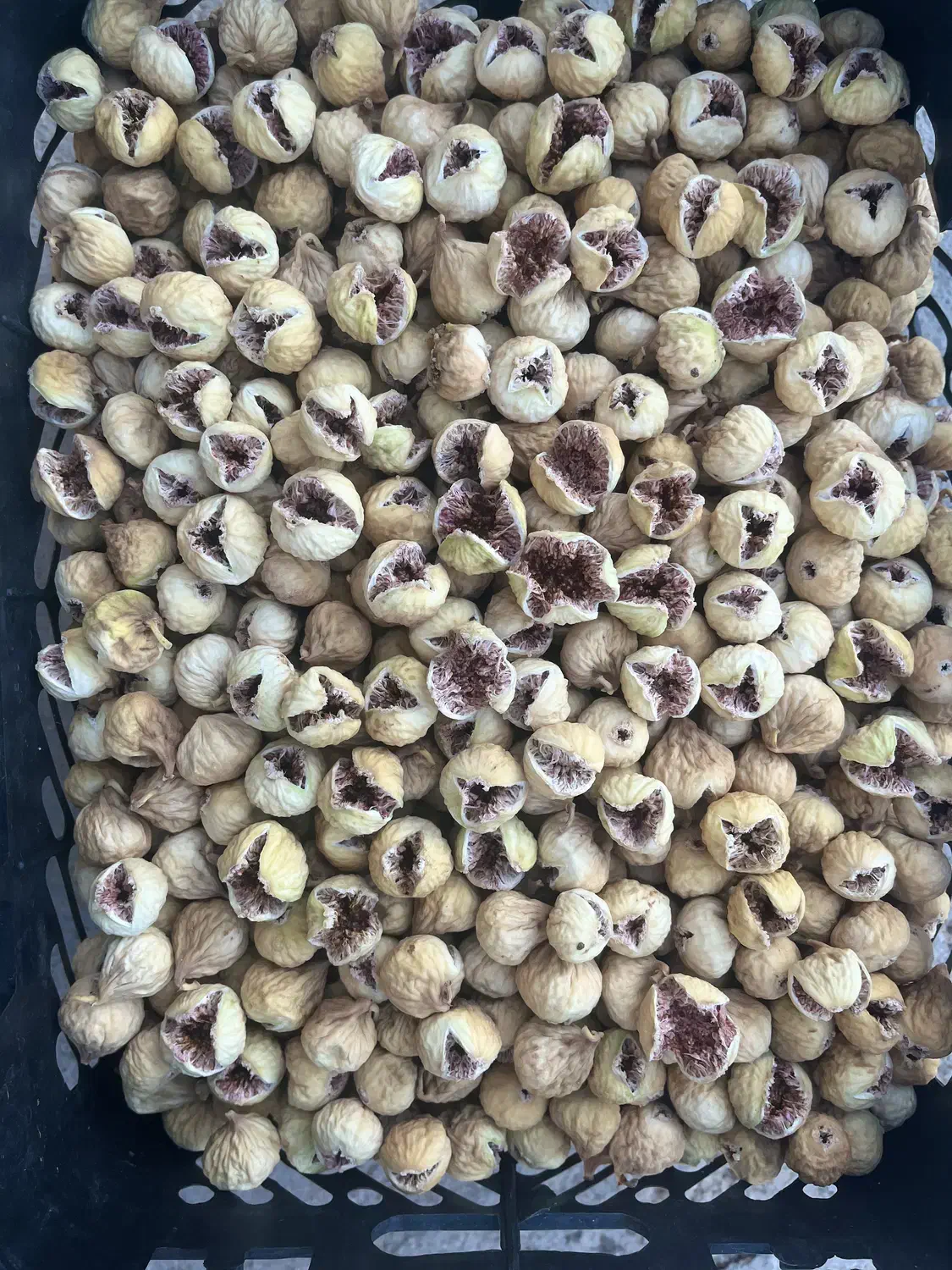 انجیر بش|خوردنی و آشامیدنی|شیراز, شهرک گلدشت حافظ‎|دیوار