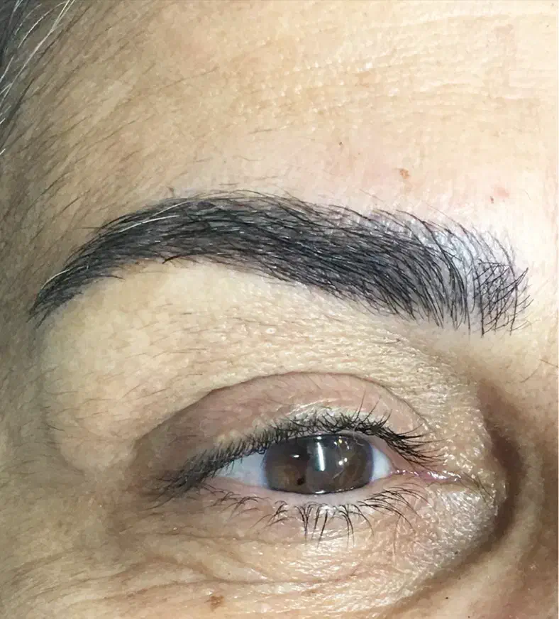 مدل میکروبلیدینگ‌ابرو‌ وفیبروز|خدمات آرایشگری و زیبایی|رشت, سعدی (تختی)|دیوار