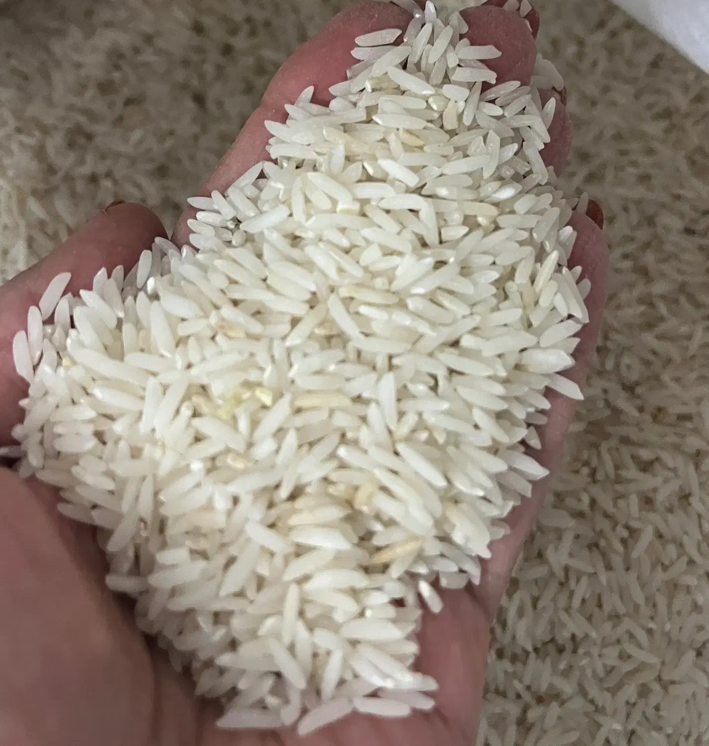 برنج|خوردنی و آشامیدنی|نکا, |دیوار