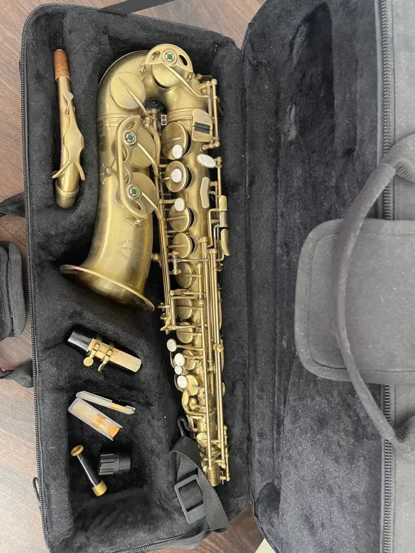 ساکسیفون شاتو آلتو‌|سازهای بادی|شیراز, تاچارا|دیوار