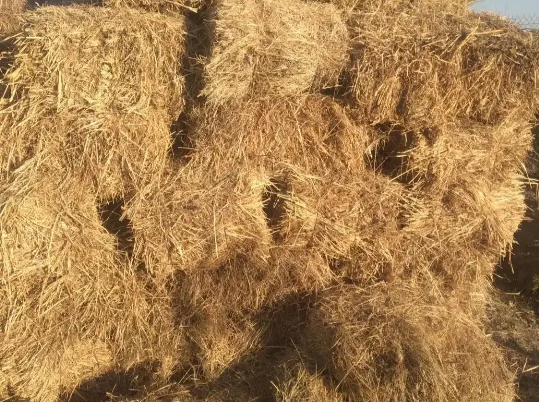 علف|لوازم جانبی حیوانات|بازرگان, |دیوار