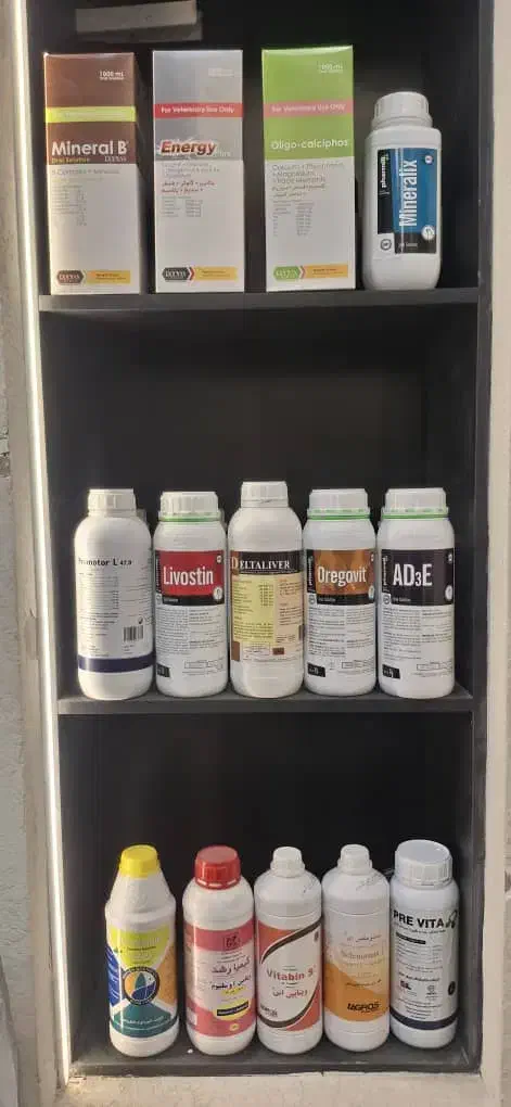 داروخانه دامپزشکی|لوازم جانبی حیوانات|قم, باسکول|دیوار