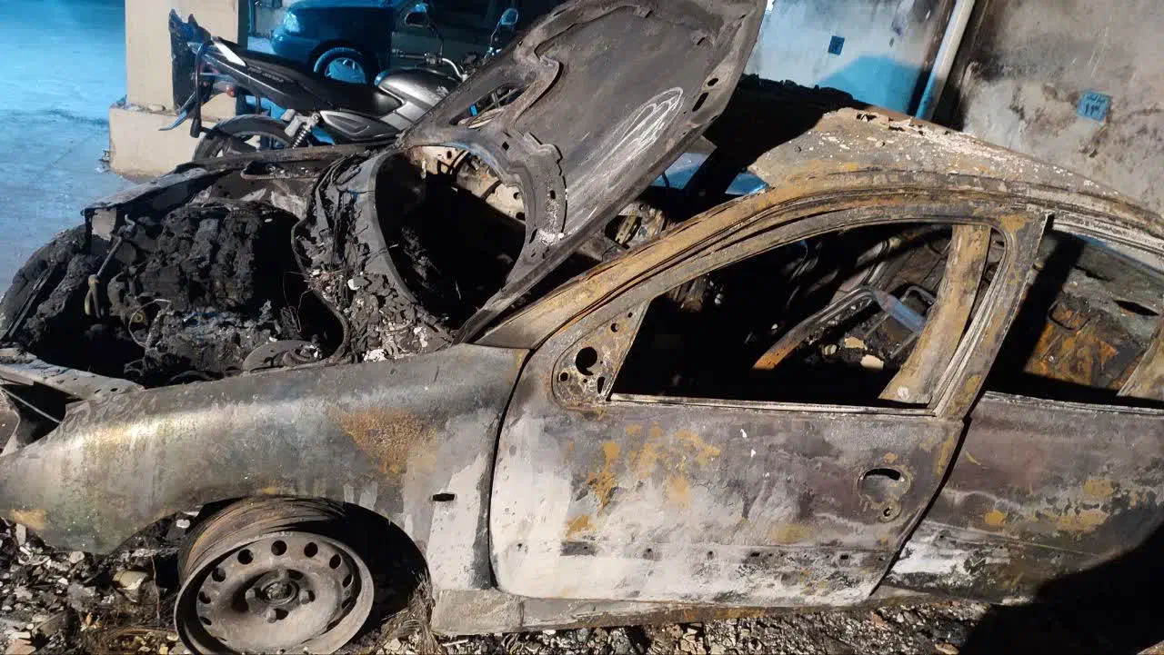 ۲۰۶ sd مدل ۹۴|خودرو سواری و وانت|تهران, شهرک چیتگر|دیوار