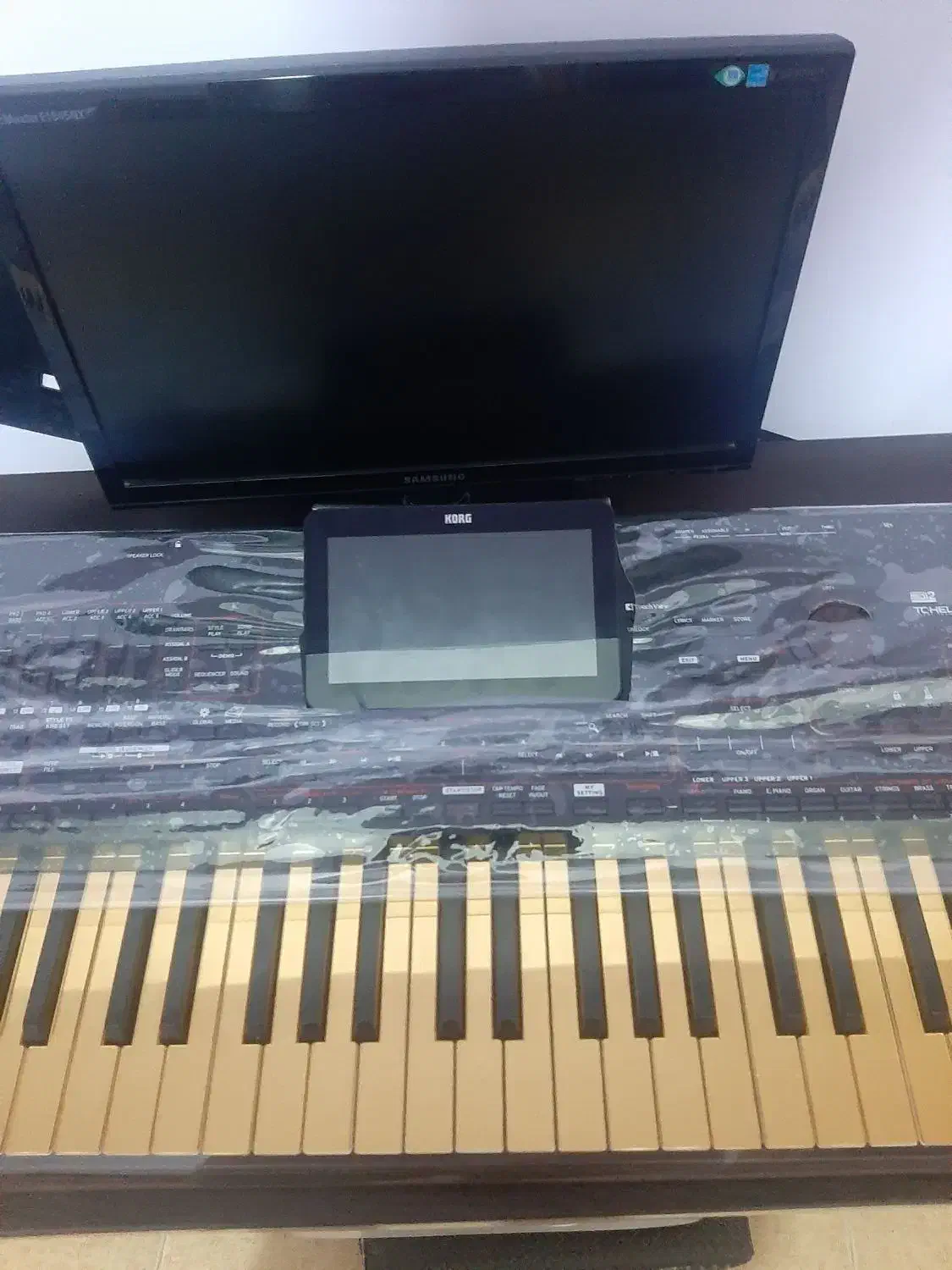 کورگ پی ای ۴|پیانو، کیبورد، آکاردئون|مهاباد (آذربایجان غربی), |دیوار