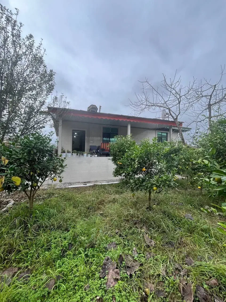 باغ ویلا 807متری تکبرگ سند|فروش زمین و ملک کلنگی|خشکبیجار, |دیوار