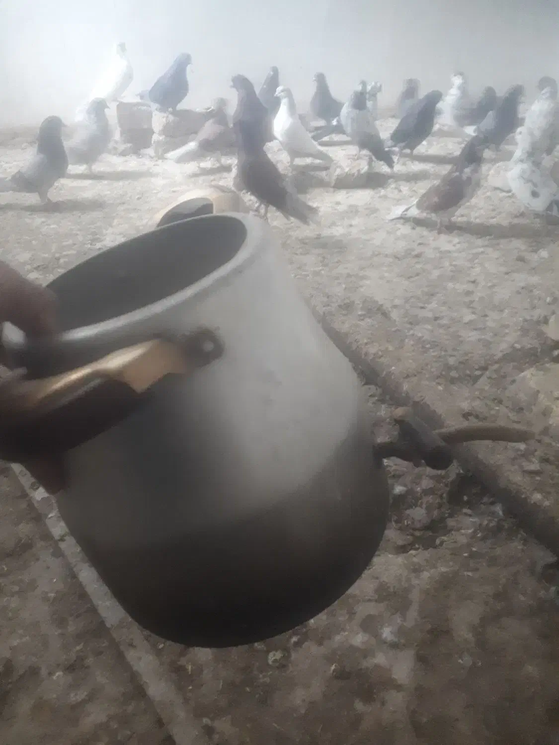 قوری درجه یک|قوری، کتری، قهوه‌ساز دستی|زابل, |دیوار