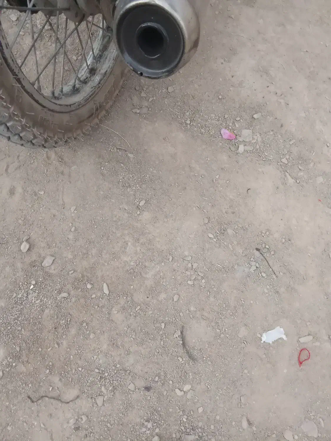 باک موتور|قطعات یدکی و لوازم جانبی|خاش, |دیوار