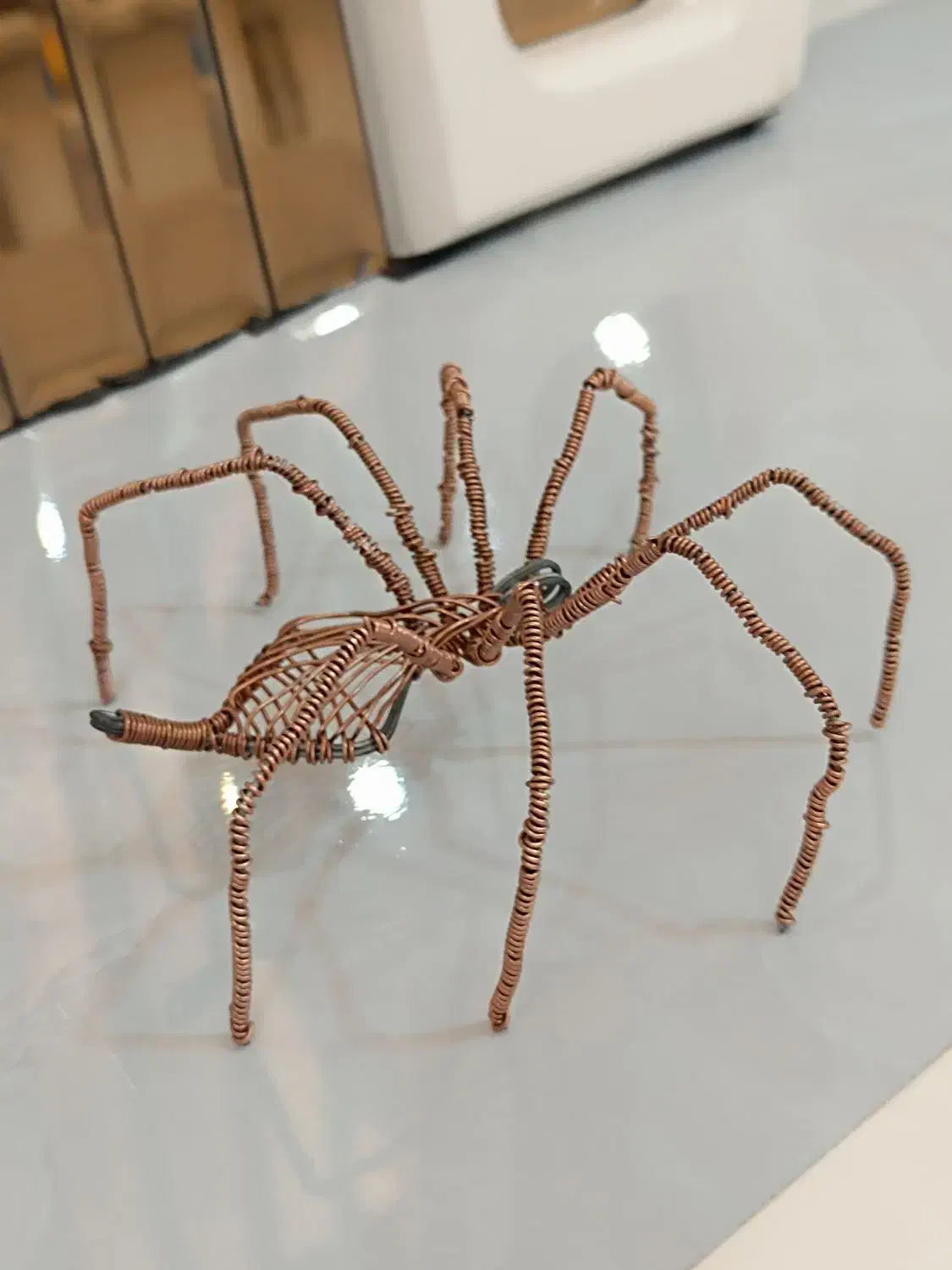 مجسمه سیمی عنکبوت|مجسمه، تندیس، ماکت|محمدشهر, ولدآباد|دیوار