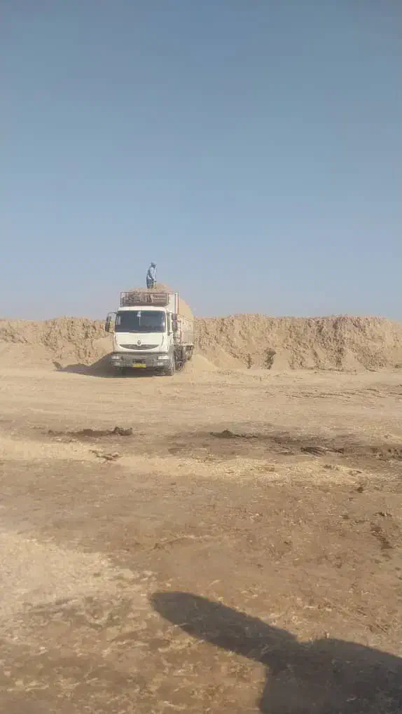 کاه نیشکر|حیوانات مزرعه|بهبهان, |دیوار