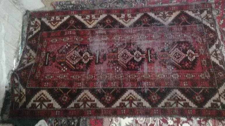 فروش قالی|فرش|رفسنجان, |دیوار