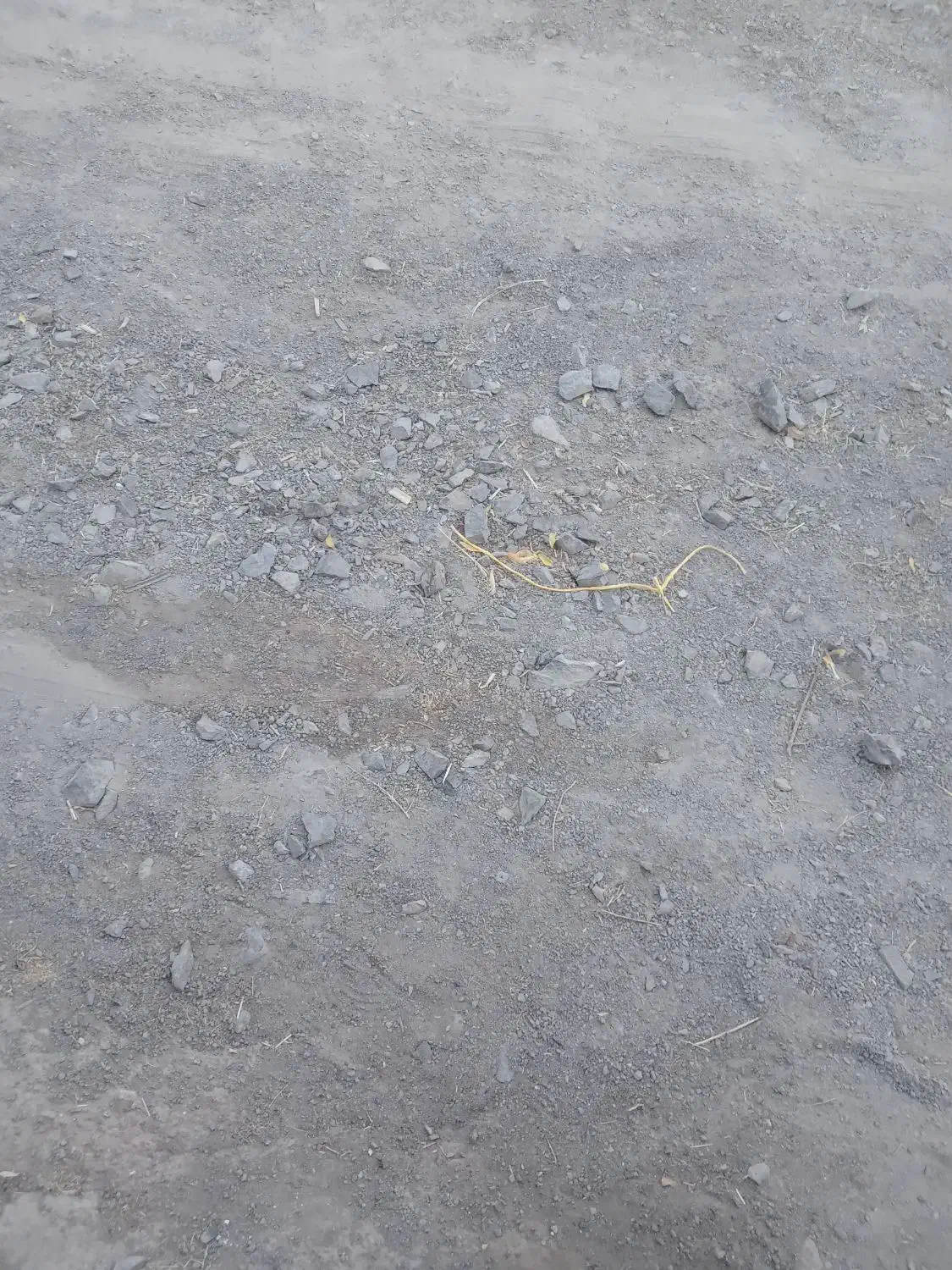 مقنی گری وچاه کنی|خدمات پیشه و مهارت|بیرجند, |دیوار