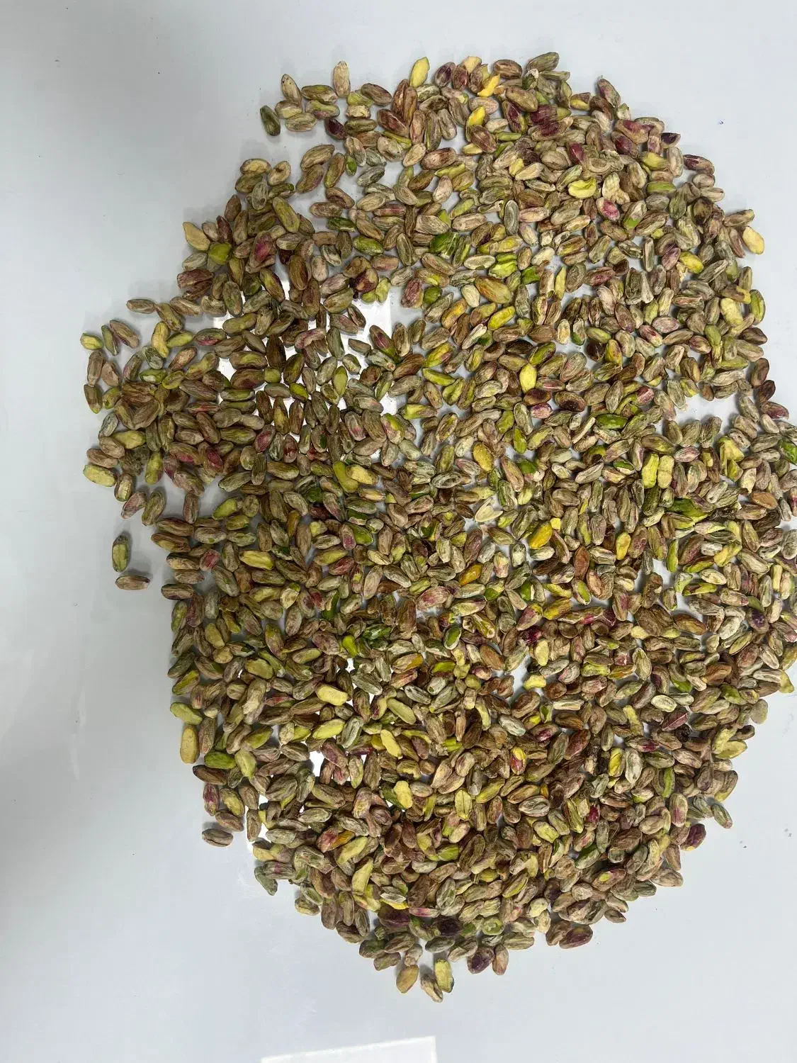 مغز سبز امسالی|عمدهفروشی|قم, عشقعلی|دیوار