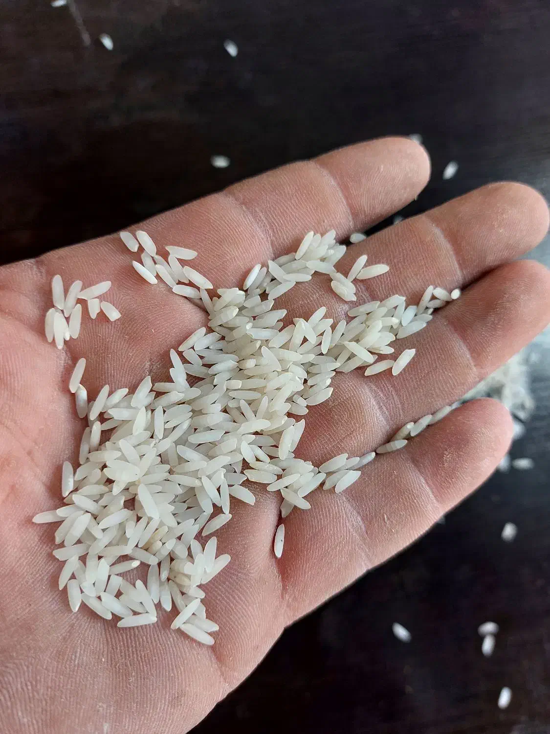 برنج کشت دو طارم هاشمی و بینام مستقیم از کشاورز|خوردنی و آشامیدنی|محمودآباد, |دیوار