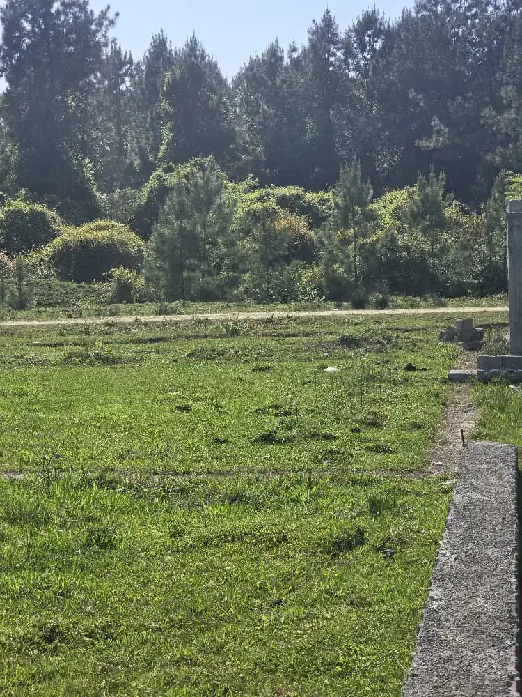 زمین شهرک شفارود پرهسر|فروش زمین و ملک کلنگی|پره‌سر, |دیوار