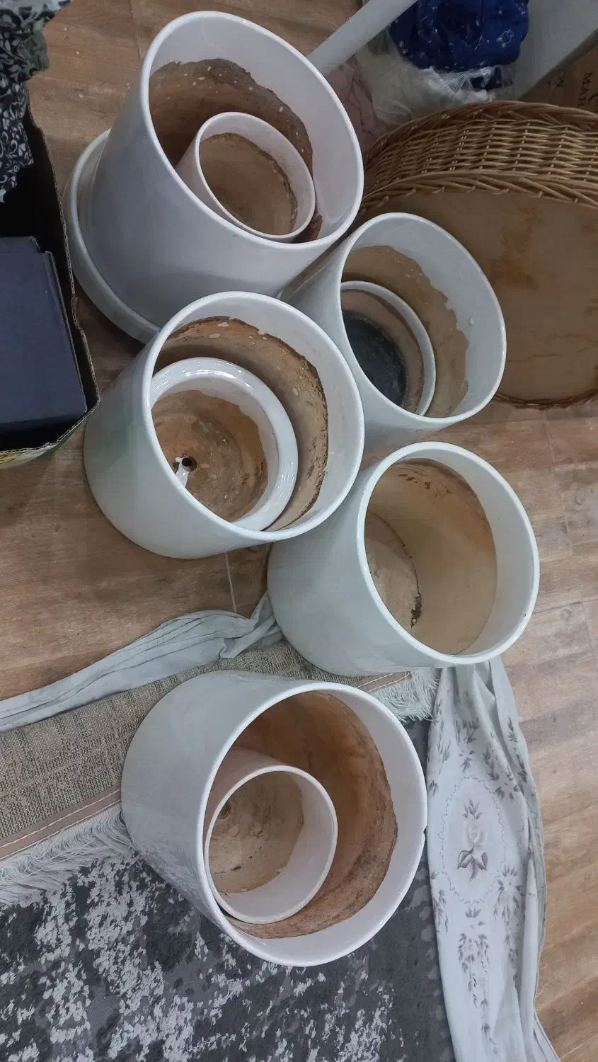 گلدان سرامیکی بزرگ|گل و گیاه طبیعی|تهران, مشیریه|دیوار