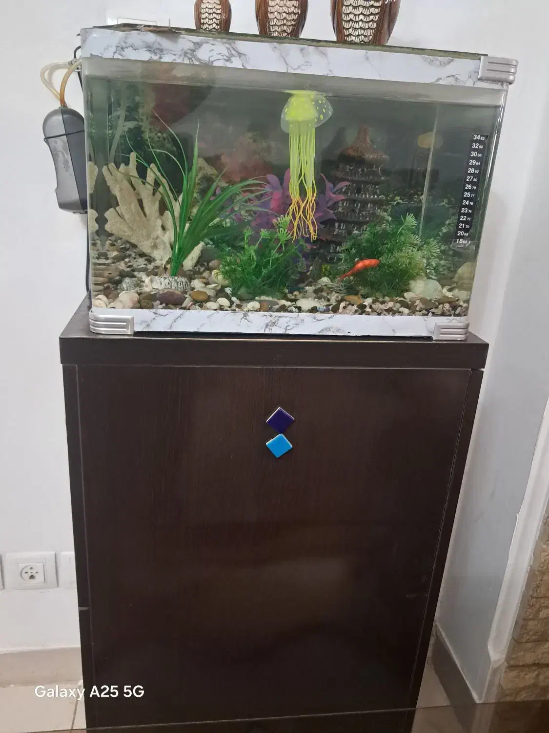 آکواریوم شیشه خم شرکتی|ماهی|مهاجران, |دیوار