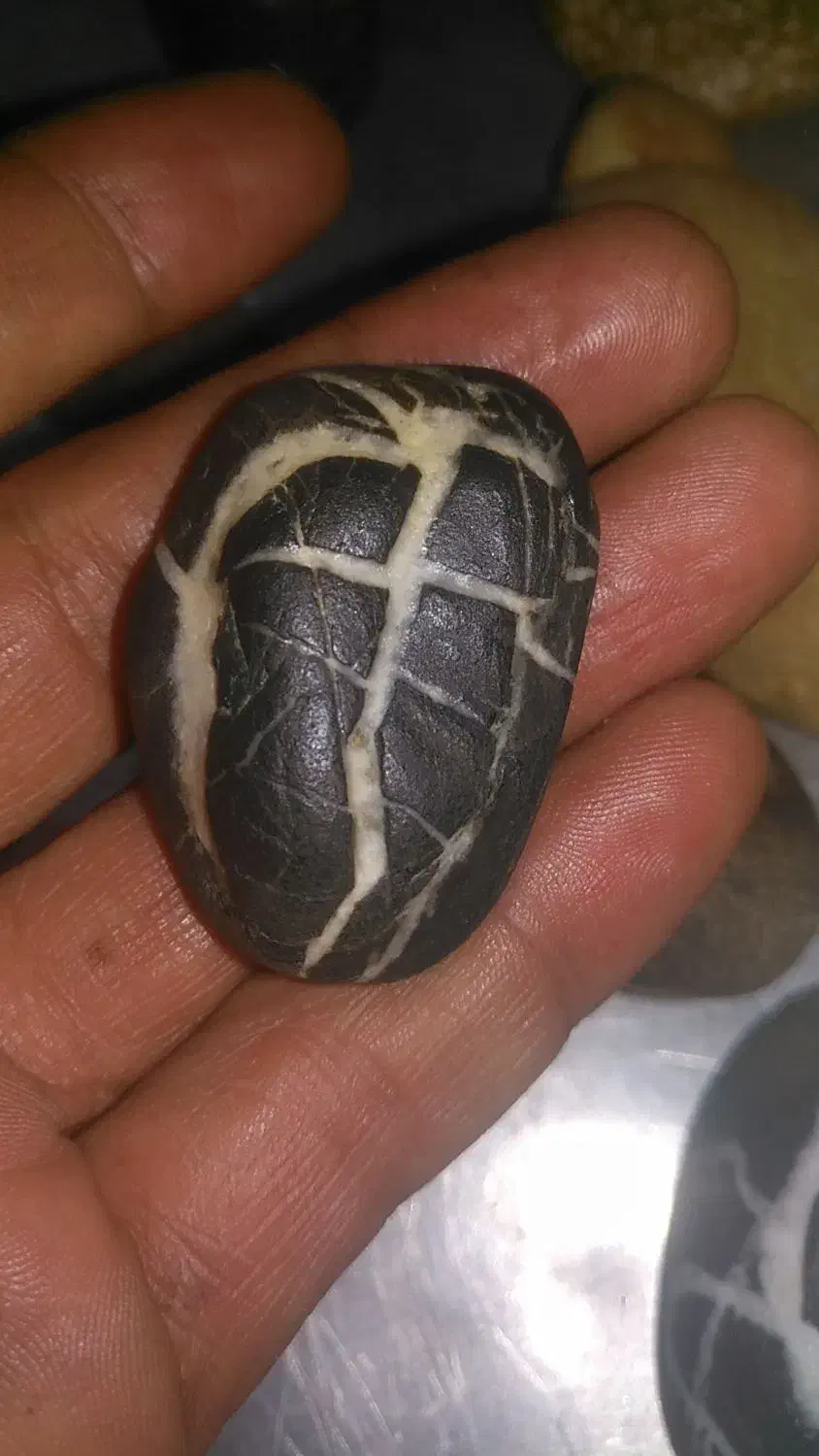 فروش سنگهای طبیعی ویترین|کلکسیون و سرگرمی|تهران, ابوذر|دیوار