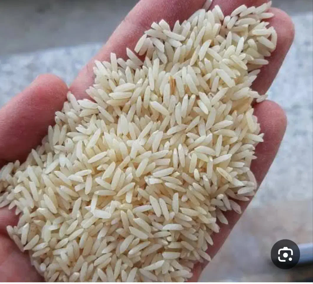 برنج درجه یک از شالیزارهای شهر ینقاق|خوردنی و آشامیدنی|گالیکش, |دیوار
