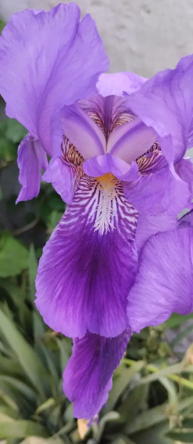 راهنمایی ازدواج میخوام|فعالیت داوطلبانه|کرمان, |دیوار