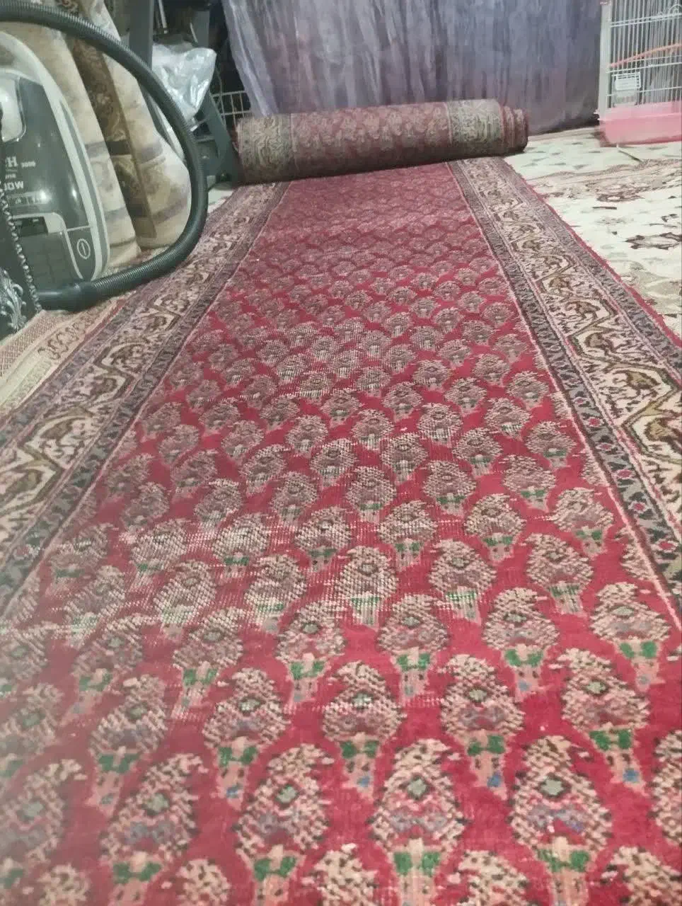 گلیم دستبافت قدیمی|گلیم، جاجیم، گبه|قم, امامزاده ابراهیم|دیوار